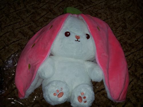 Strawberry Bunny photo review