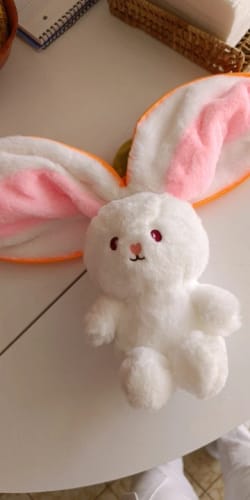 Strawberry Bunny photo review