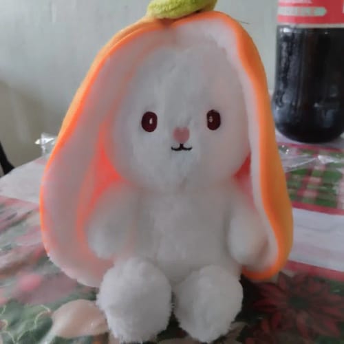 Strawberry Bunny photo review