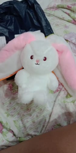 Strawberry Bunny photo review