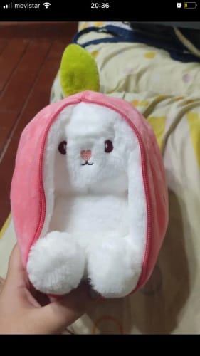 Strawberry Bunny photo review