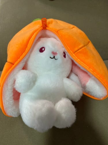 Strawberry Bunny photo review