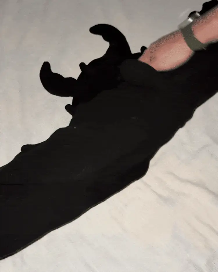 Snuggy Dragon 2
